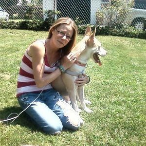 Meet your Posher, Traci